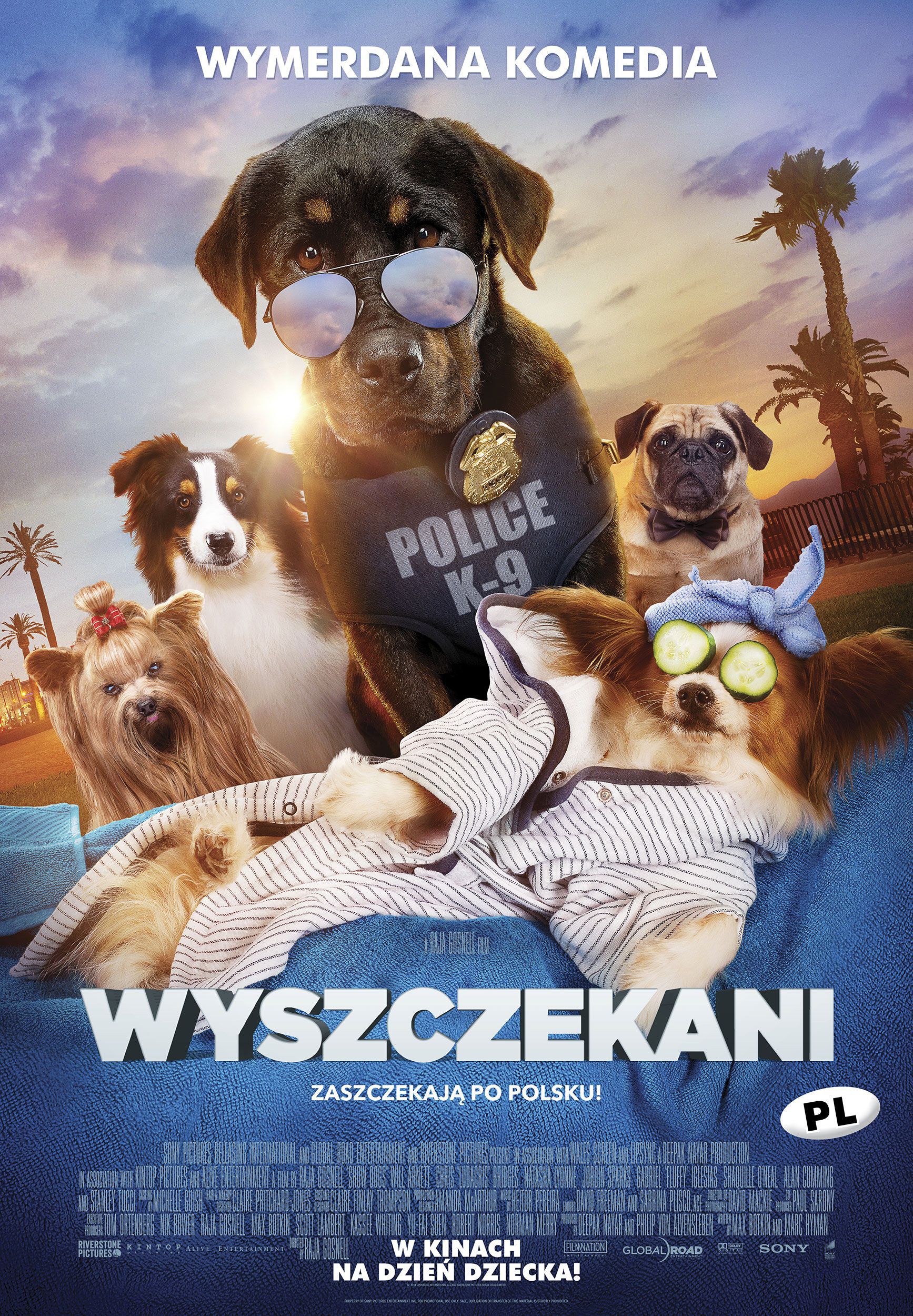 Plakat filmu Wyszczekani